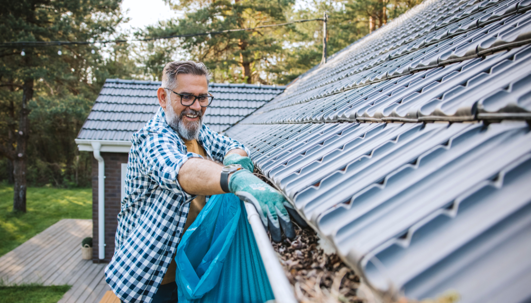 Spring Refresh: Essential Home and Car Maintenance Tips