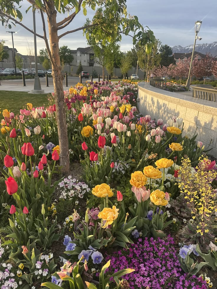 Flower and Garden Club