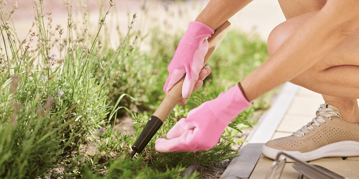 Personal Protective Equipment at Home