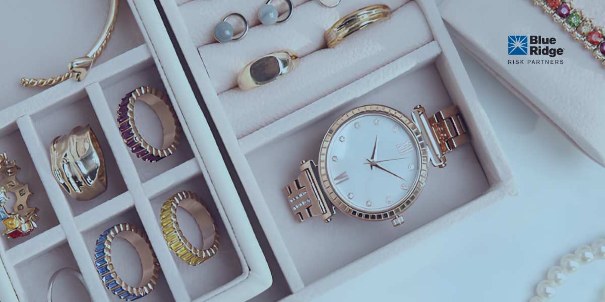 Protecting Valuables Beyond Standard Homeowners Insurance | Blue Ridge Risk Partners